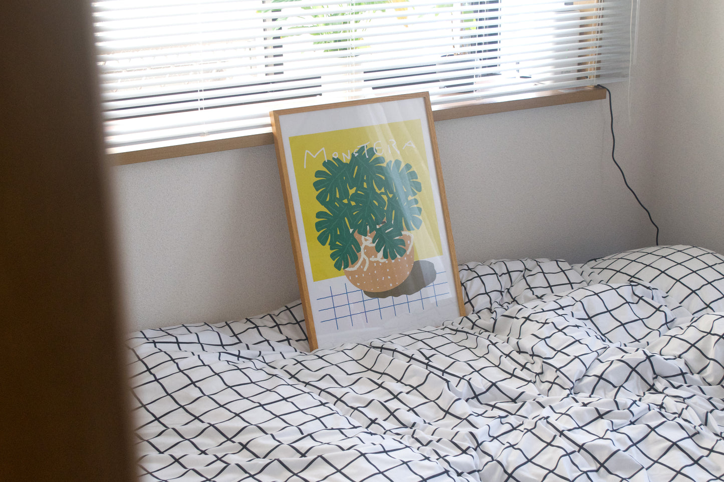 MONSTERA