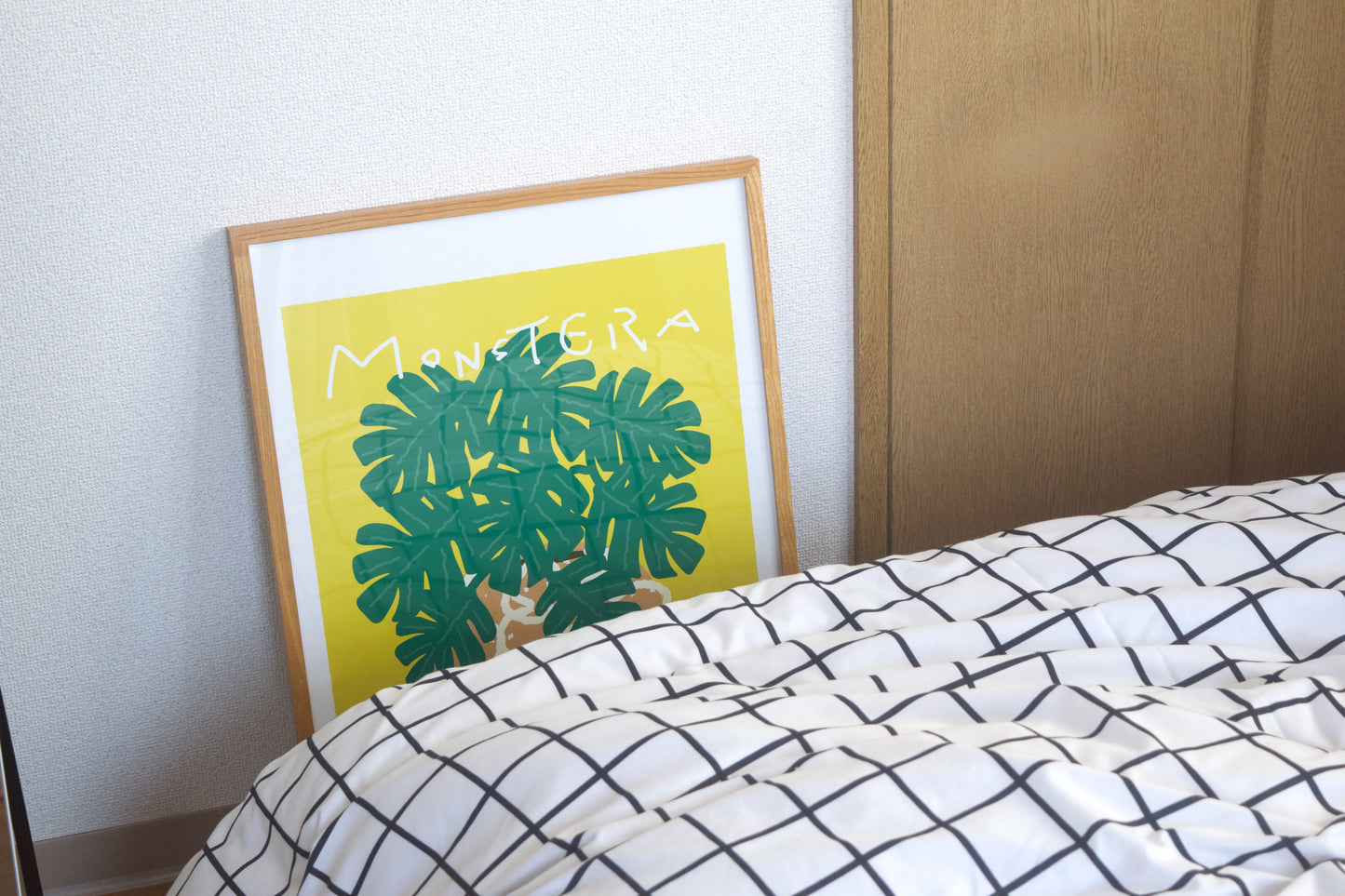 MONSTERA