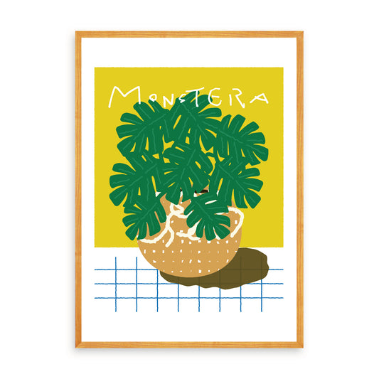 MONSTERA